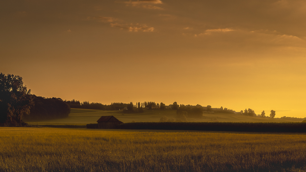 Platz 2 Anton Kienle